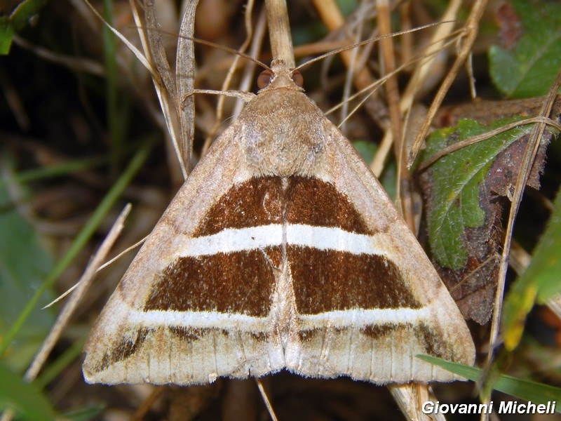 Parco del ticino : incontri del 23/8/14
